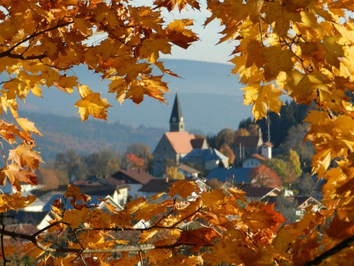 Ferienwohnungen Krieger Mauth Exteriér fotografie